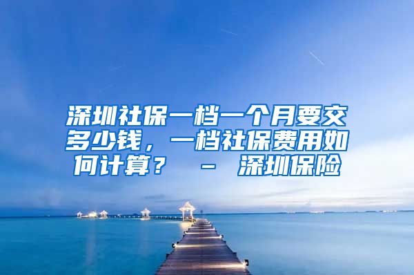 深圳社保费用解析，一个月需交多少钱？