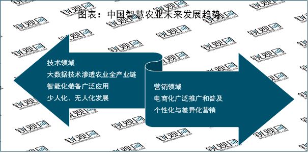 江苏条码科技，引领行业创新，塑造智慧未来