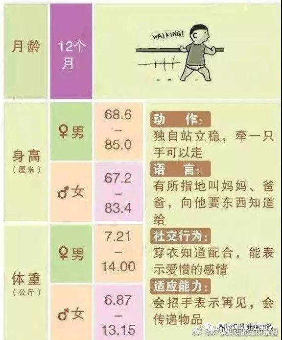 8个月宝宝智力发育标准详解