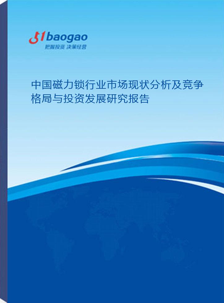 广东省磁力锁生产厂家，行业现状与发展前景